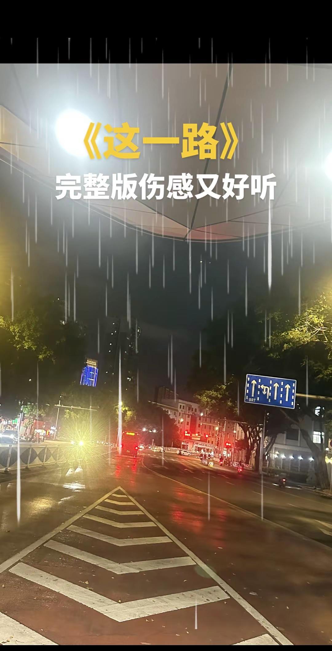 这一路跌跌撞撞走到现在，有太多的不容易，有心酸，有牵福，也有泪水....伤感音乐