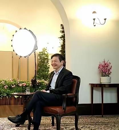 新加坡封芯片通道太糊涂，这波操作纯属搬起石头砸自己脚
 
站在我个人角度，看到“