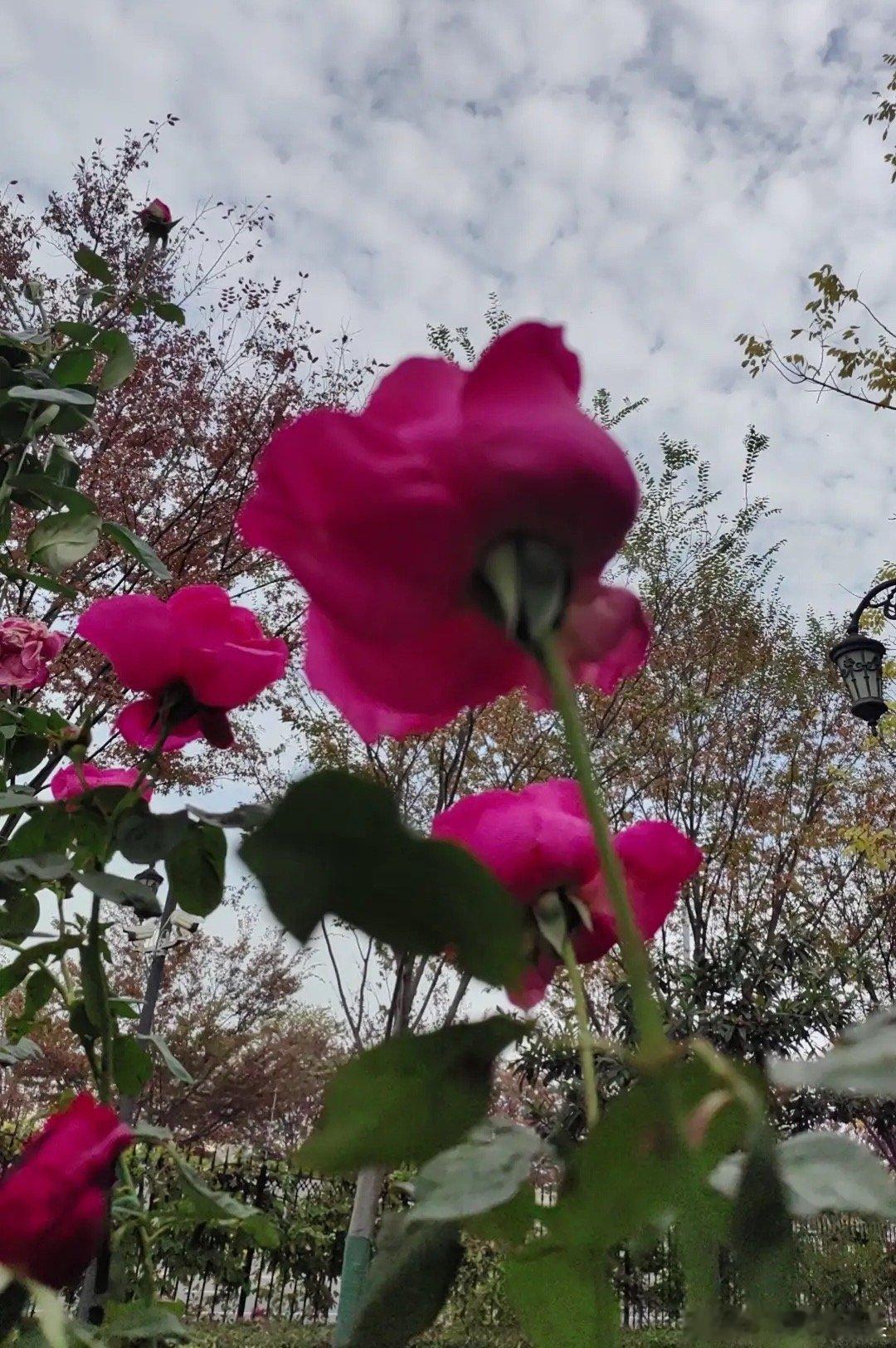 关于未婚同居，法律有新规了，现在很多年轻人不领结婚证就一起生活，甚至一起买房共同