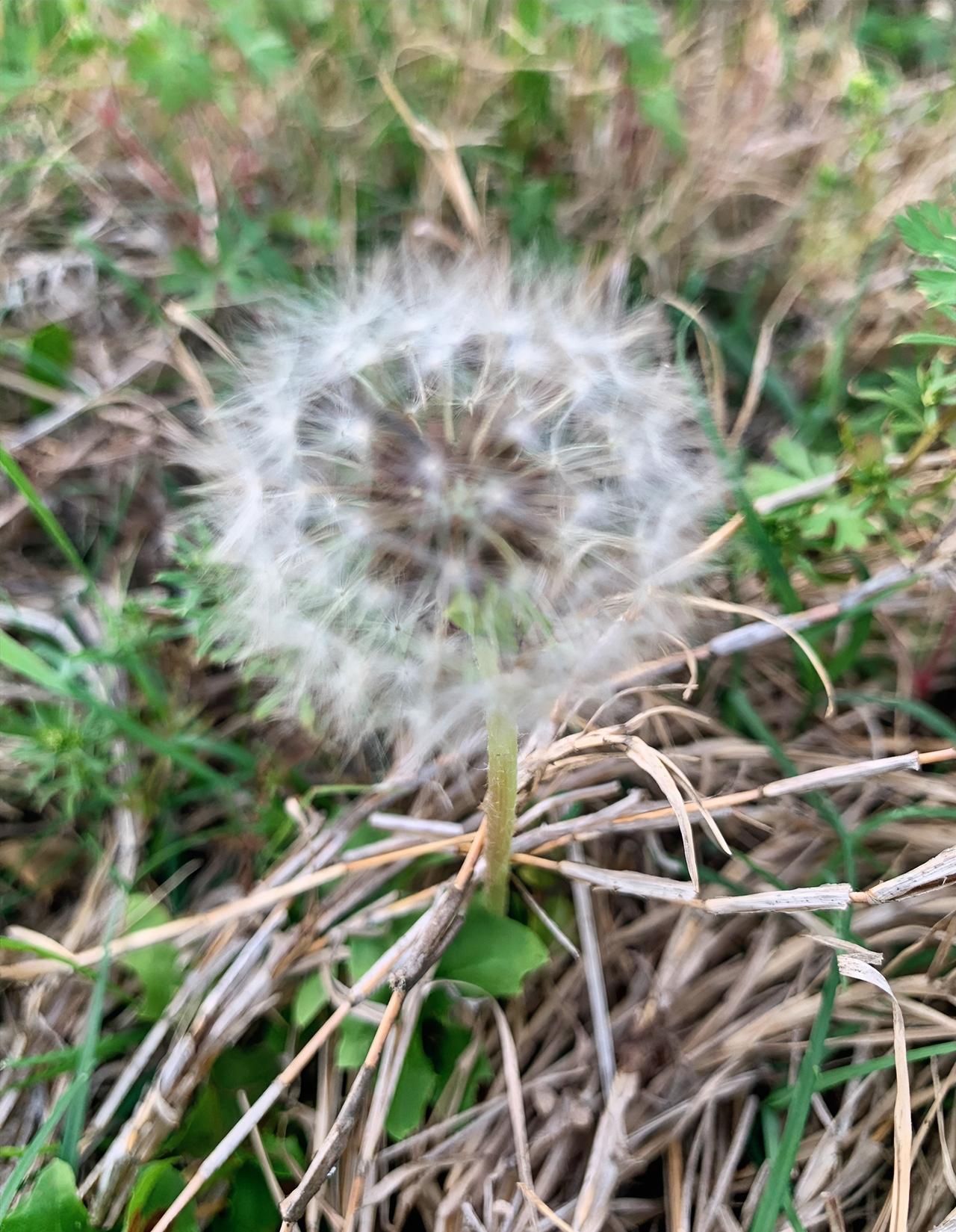 教书近30年，昨天晚上被一个电话弄得心里堵的慌。

事情的经过是这样的。我有个高