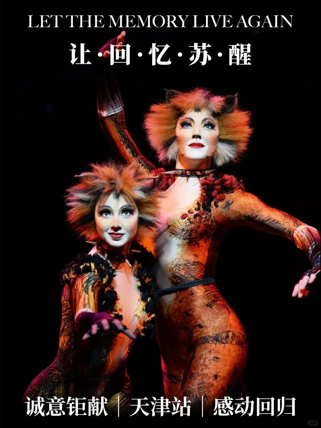 天津站！世界经典原版音乐剧《猫》CATS
