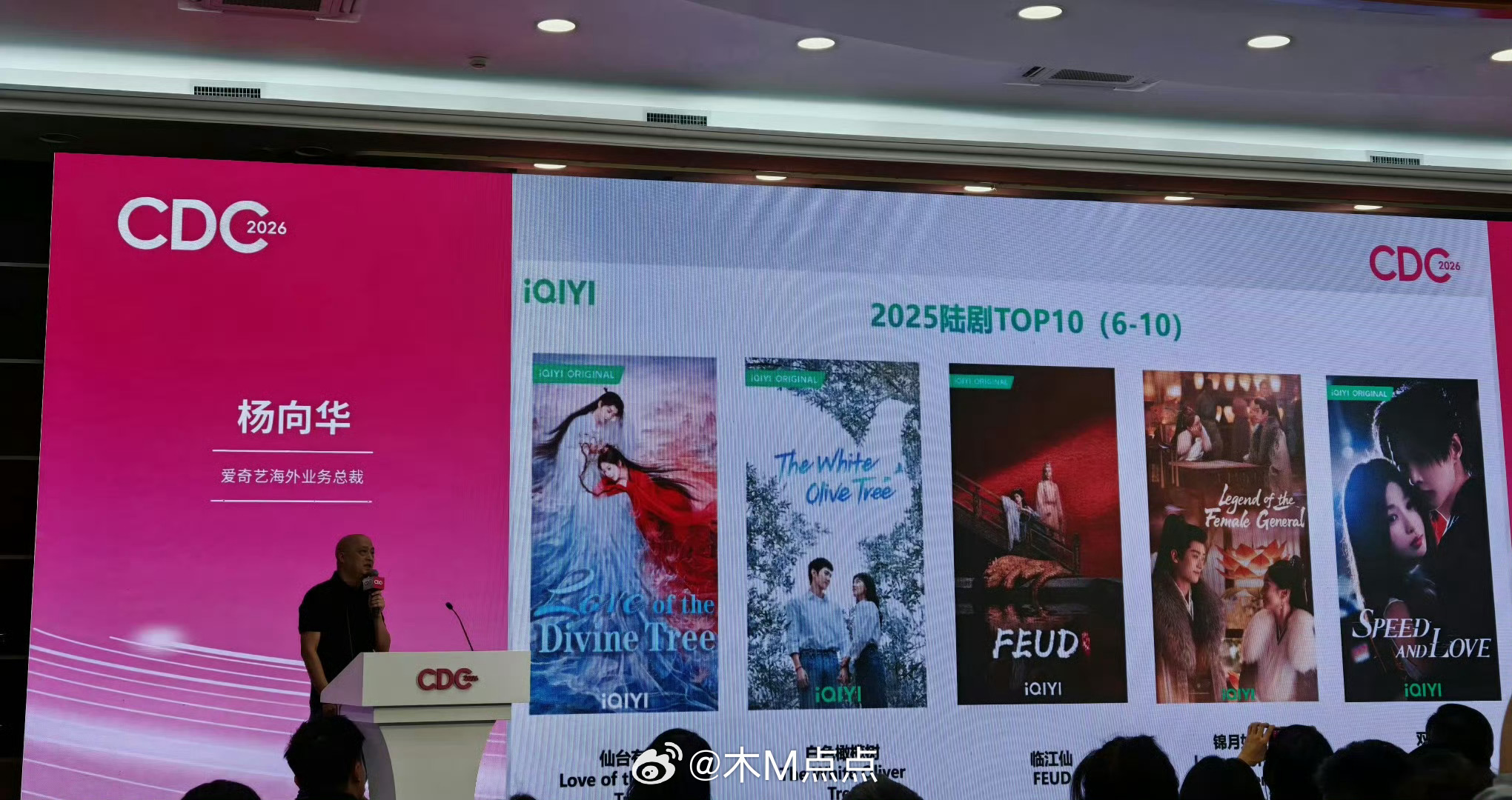 2025年爱奇艺海外播放量前十作品你们看过哪部？张凌赫、徐若晗《爱你》白鹿、敖瑞