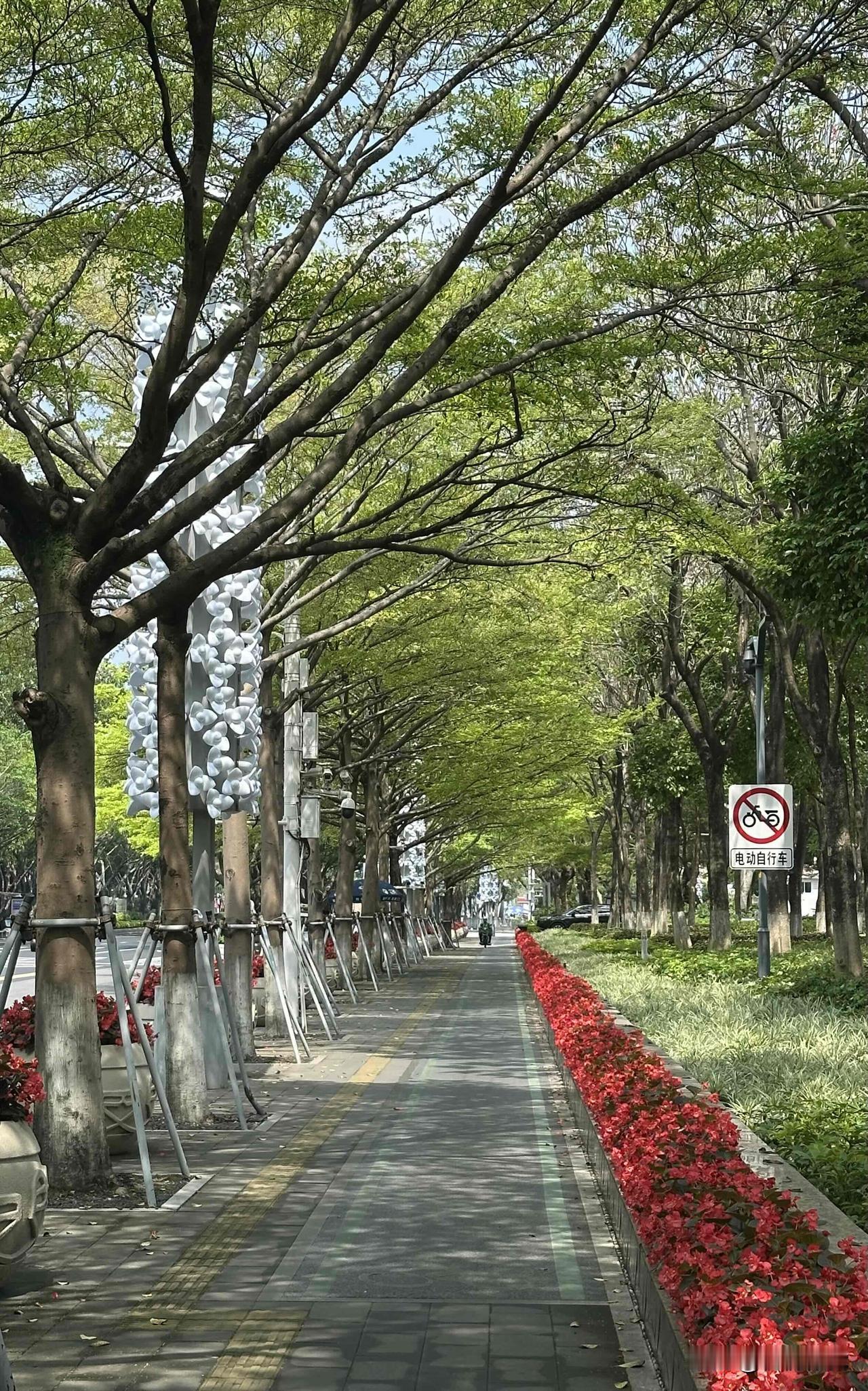 随拍。