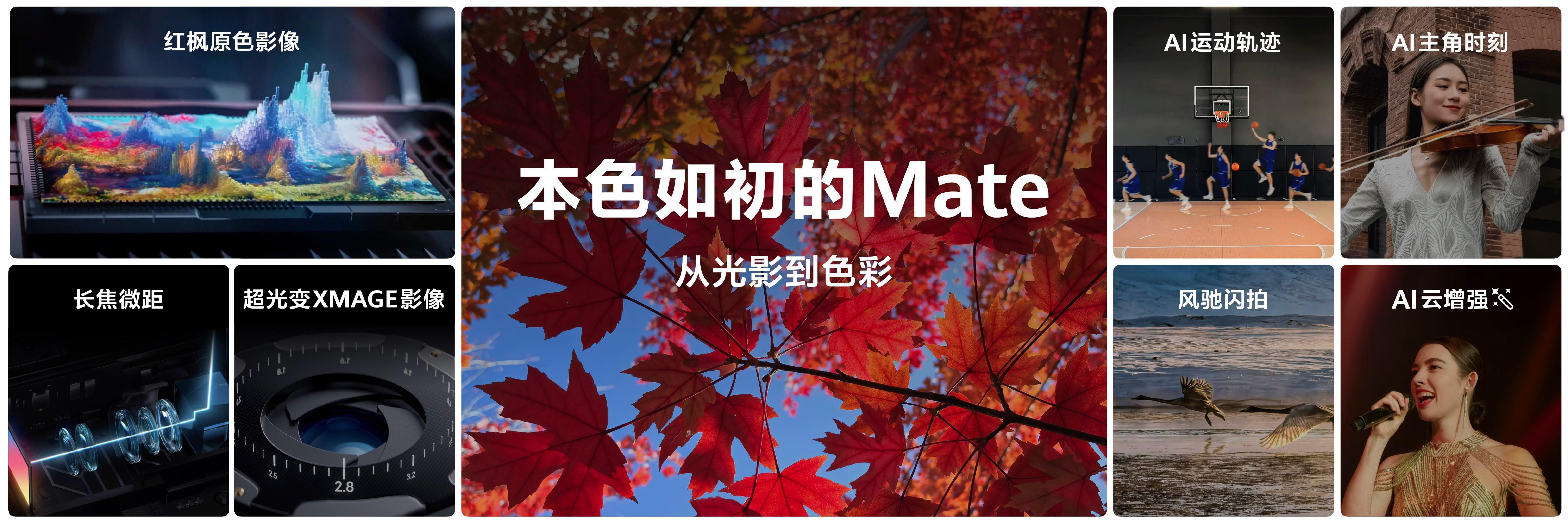 ，这首歌我感觉恰好隐喻了Mate的成长。这种“以实力开场”的底气，真的超级打动我