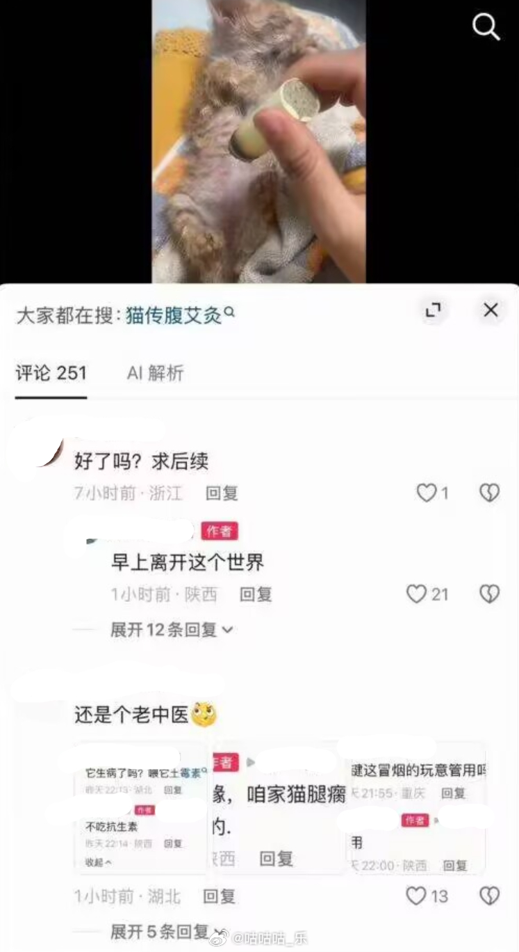 啊这这 