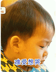 沈阳音乐节取消了    又要延迟和嘉伦见面了