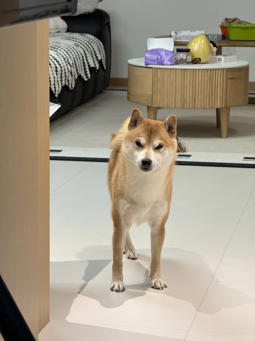 咋的，喊哥有事？