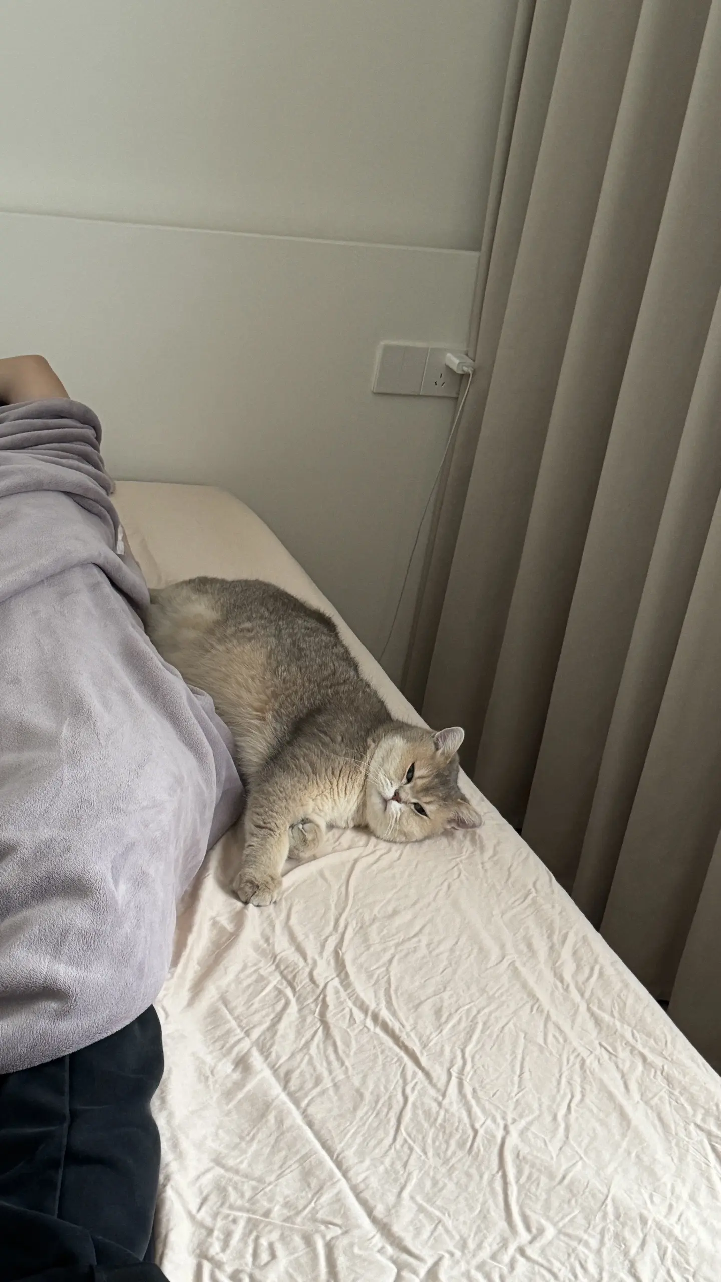 看到我在拍，他就努力装睡！