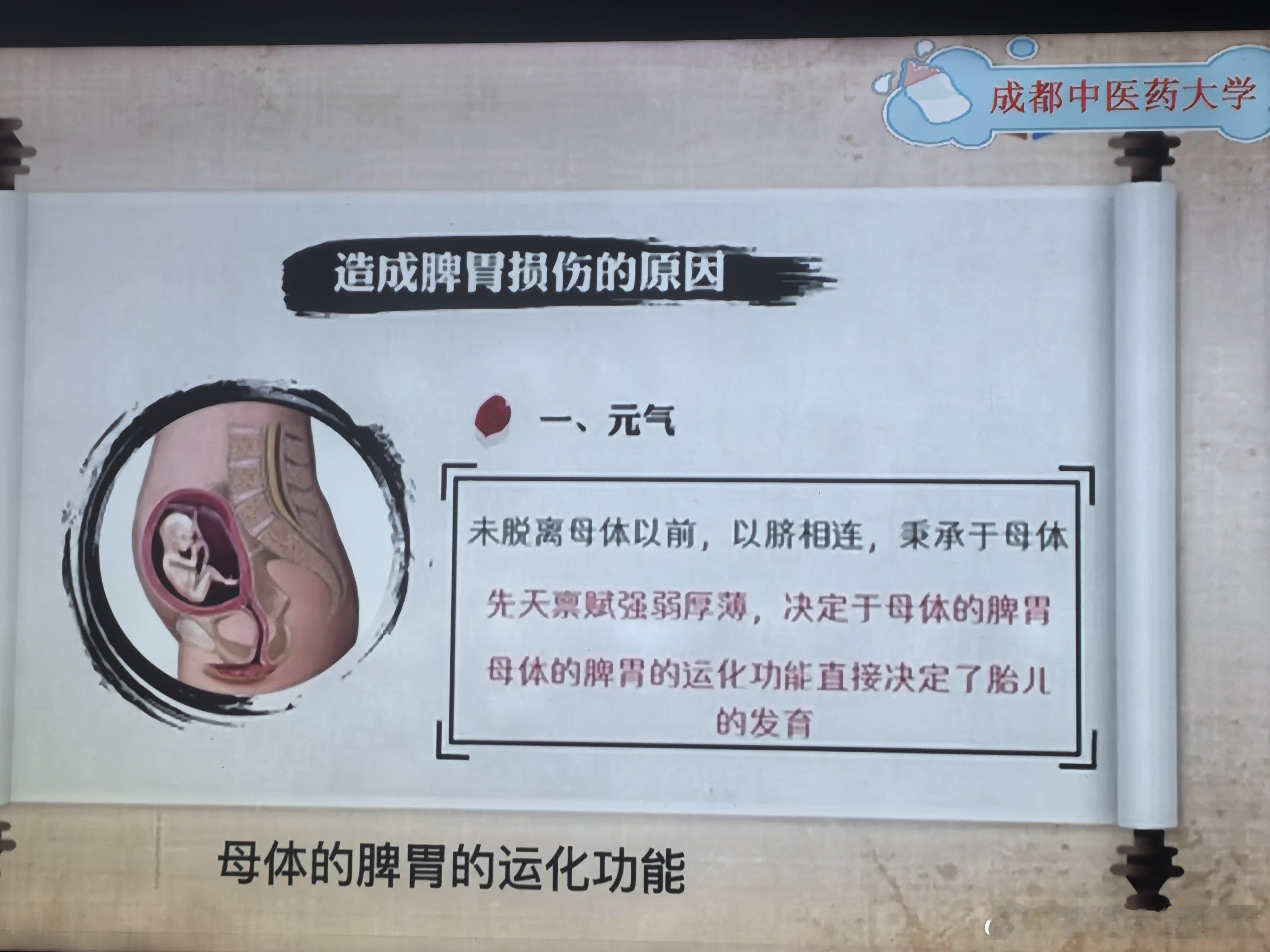 我们脾胃功能的强弱，主要取决于先天的遗传体质，金老师建议，父母脾胃不好的，母亲怀