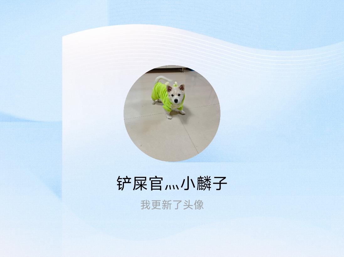 快来看看我新换的头像吧