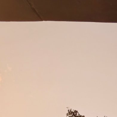 每一处风景都是生命的驿站，用乐观的心看待万物，心则如山花般烂漫。 知足且坚定，温