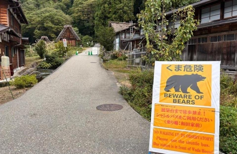 【熊出没注意｜日本环境省：今年4至10月196人遭熊袭击，创五年同期新高】
日本