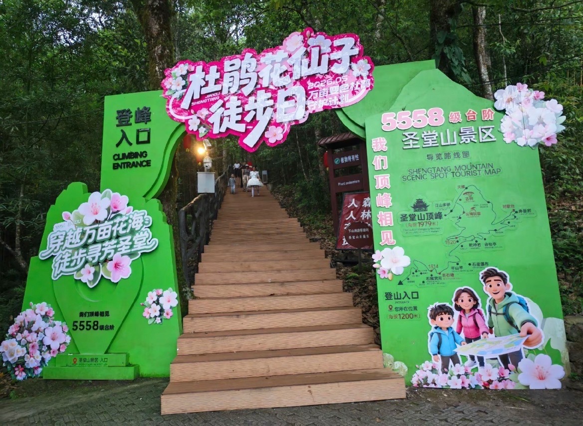 一起趣来宾来宾圣堂山杜鹃花开5月，广西来宾金秀圣堂山杜鹃花开了