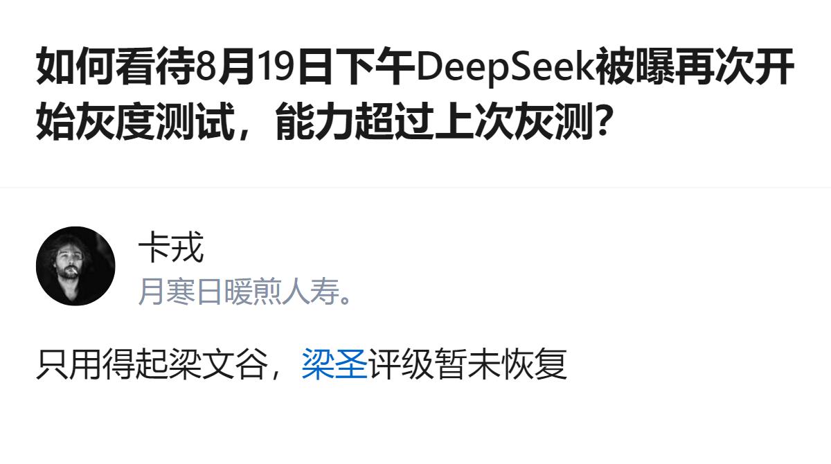 现在AI圈的瓜真的是一波接一波，刚还在聊别的，转头DeepSeek就爆了灰度测试