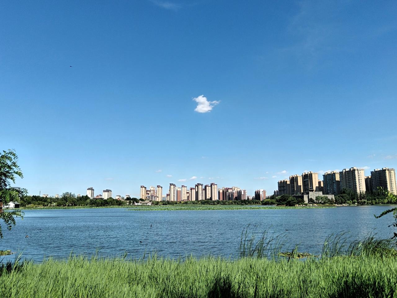 当我们学会接受变化，与自己和解，便能以更从容的姿态面对生活的起起落落，最终收获内
