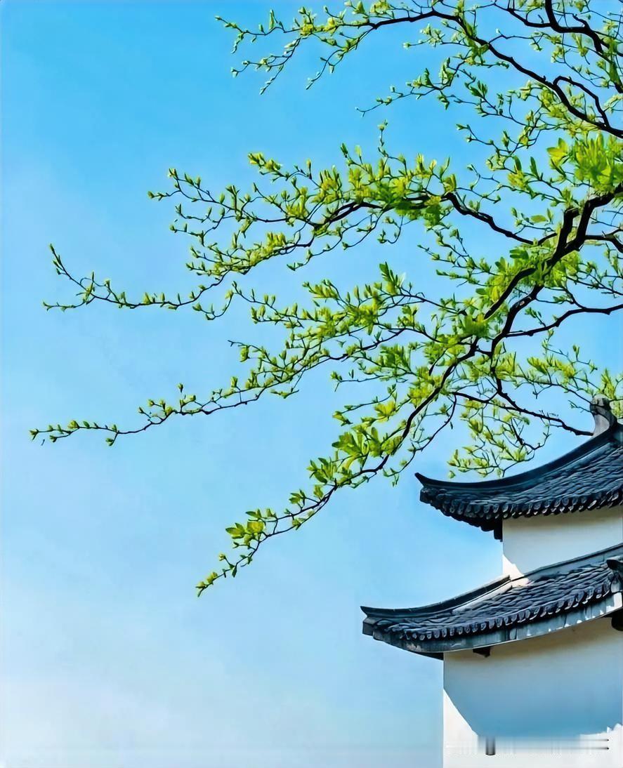 上联：流光暗换旧庭院
下联：有请雅士[玫瑰][玫瑰][玫瑰]