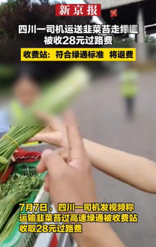 四川峨眉，货车司机拉着一车蒜苔过高速收费站绿色通道，收费员检查后，一口咬定这些蒜