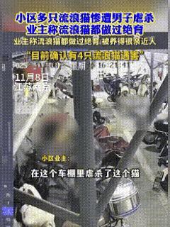 “斯文面具碎了！”南京建邺虹苑社区11月8日车棚血腥一幕：斯文小伙撒火腿肠诱来4
