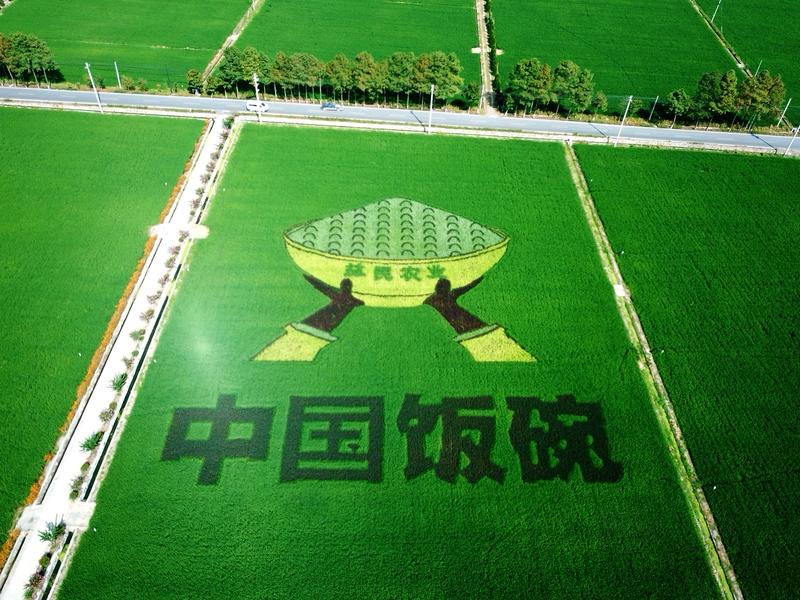 10月16日迎来第45个世界粮食日，今年主题是“手拉手共倡多样美食，聚合力同创美
