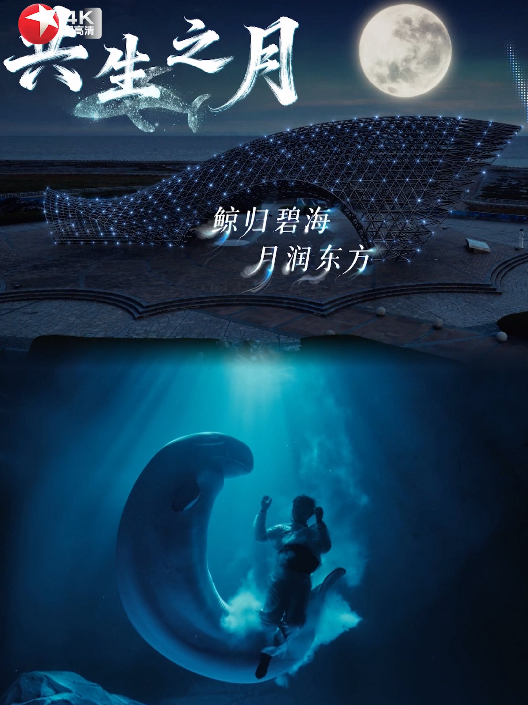 陈靖可讲述司南鱼动人故事 东方卫视中秋晚会藏大招！陈靖可人鲸共舞 好牛的创意，从