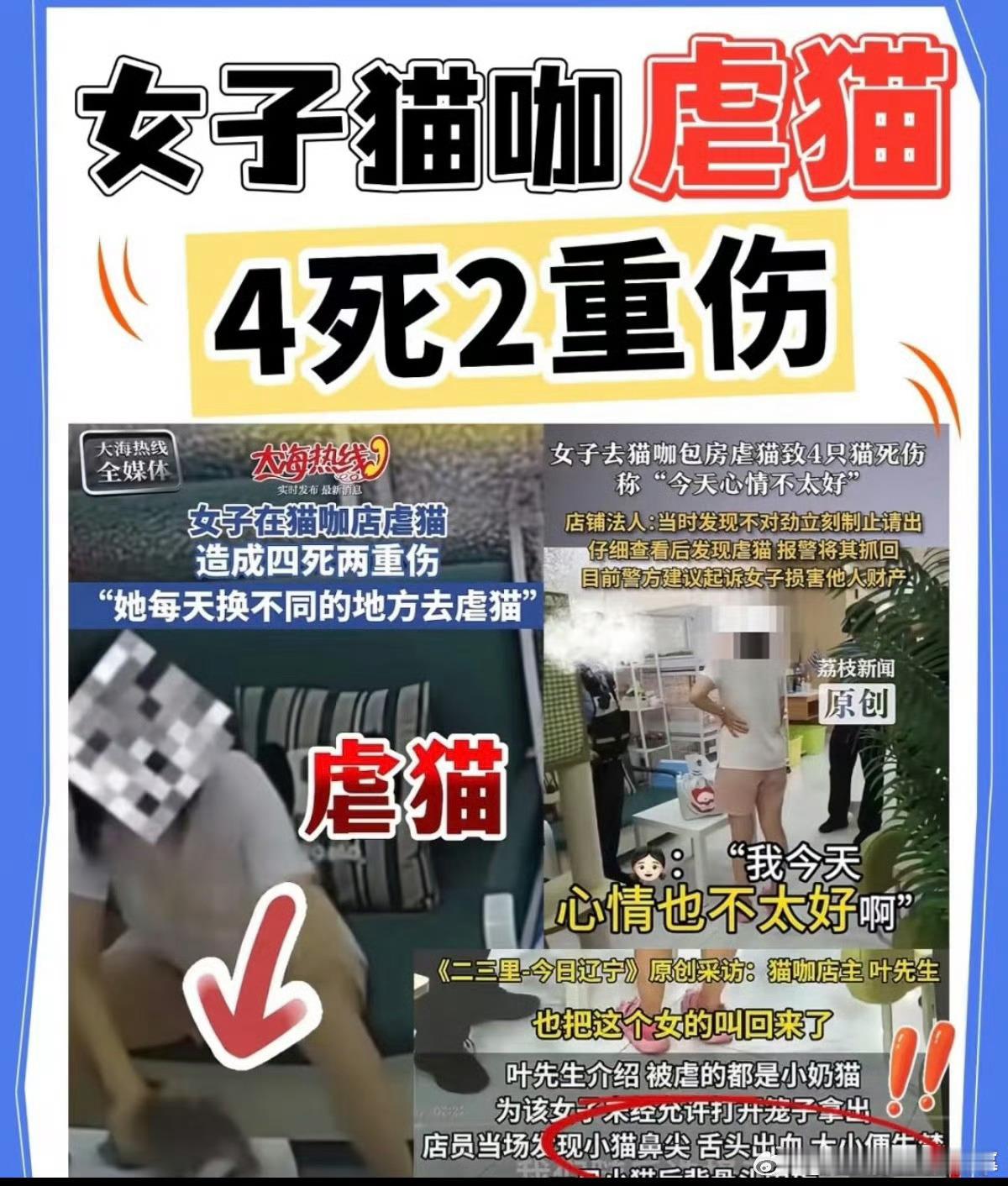 女子虐猫致4死或判3年我不支持判这么轻，能做出虐猫行为的，指不定下一步就是虐小孩