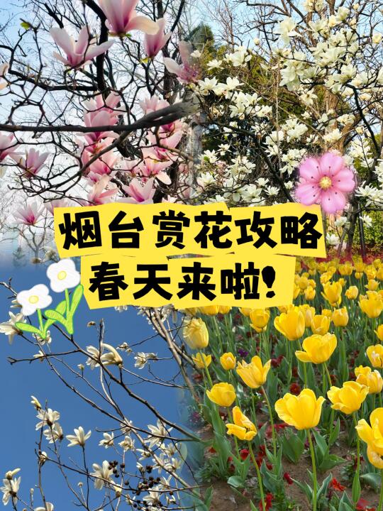 烟台赏花攻略！来领春日旅行路线图！