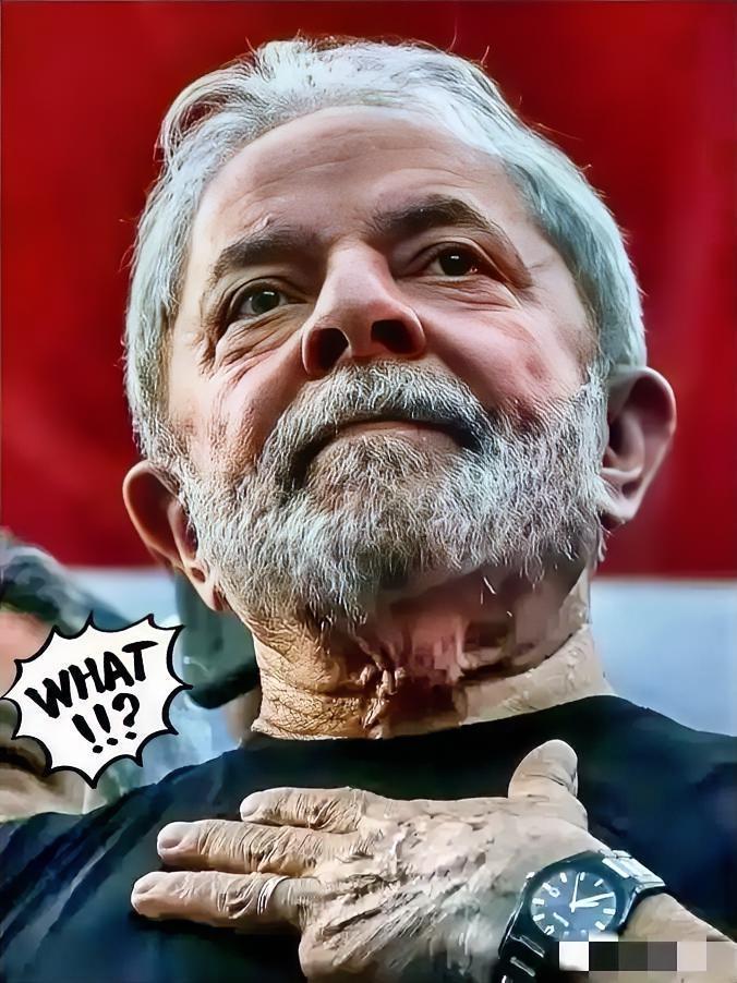 巴西对华消息！

2025年12月5日，巴西外贸委员会管理执行委员会在官方日报发