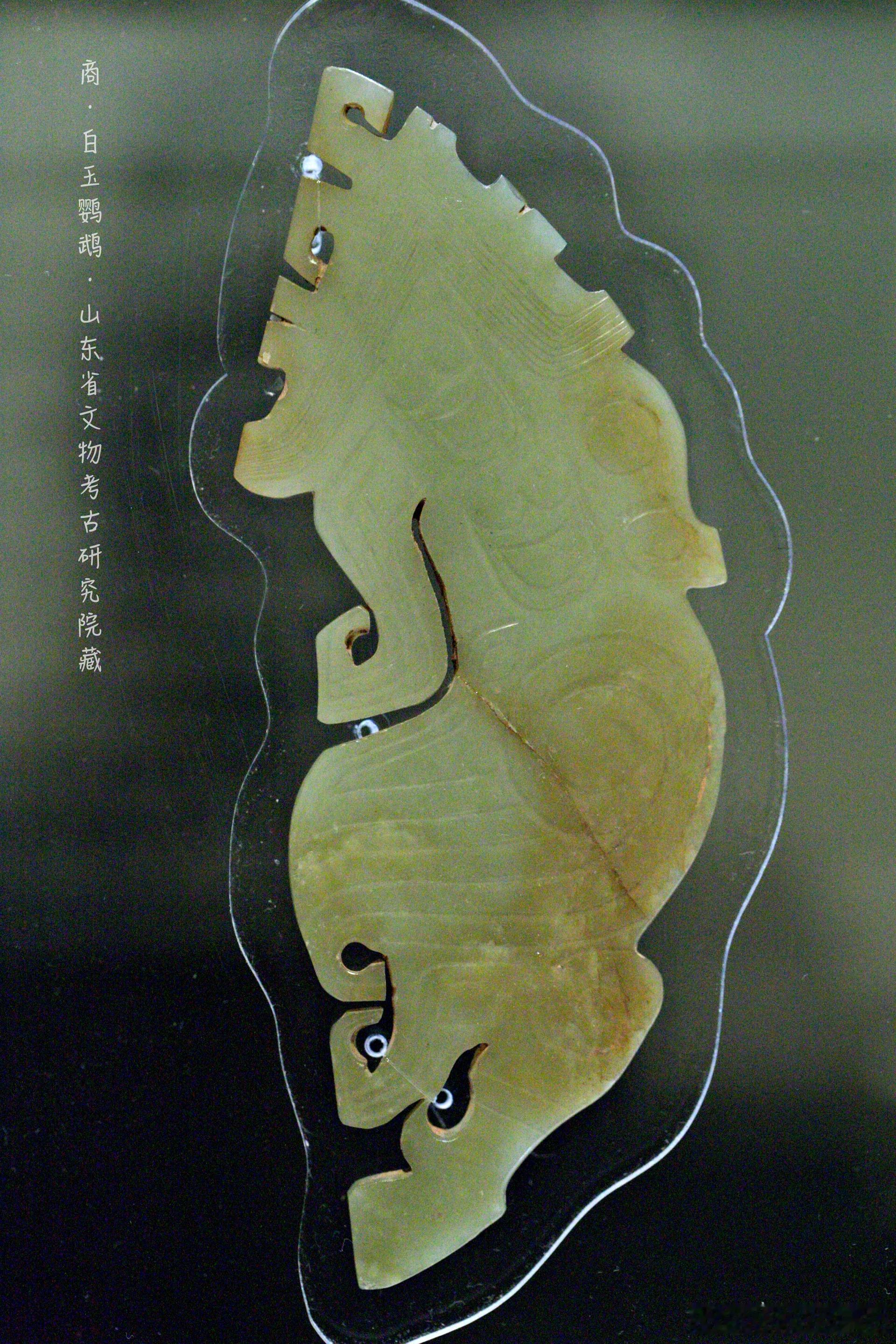 #禮運東方-山东古代文明精粹# 商代（公元前1600-前1046年）玉器文明1、