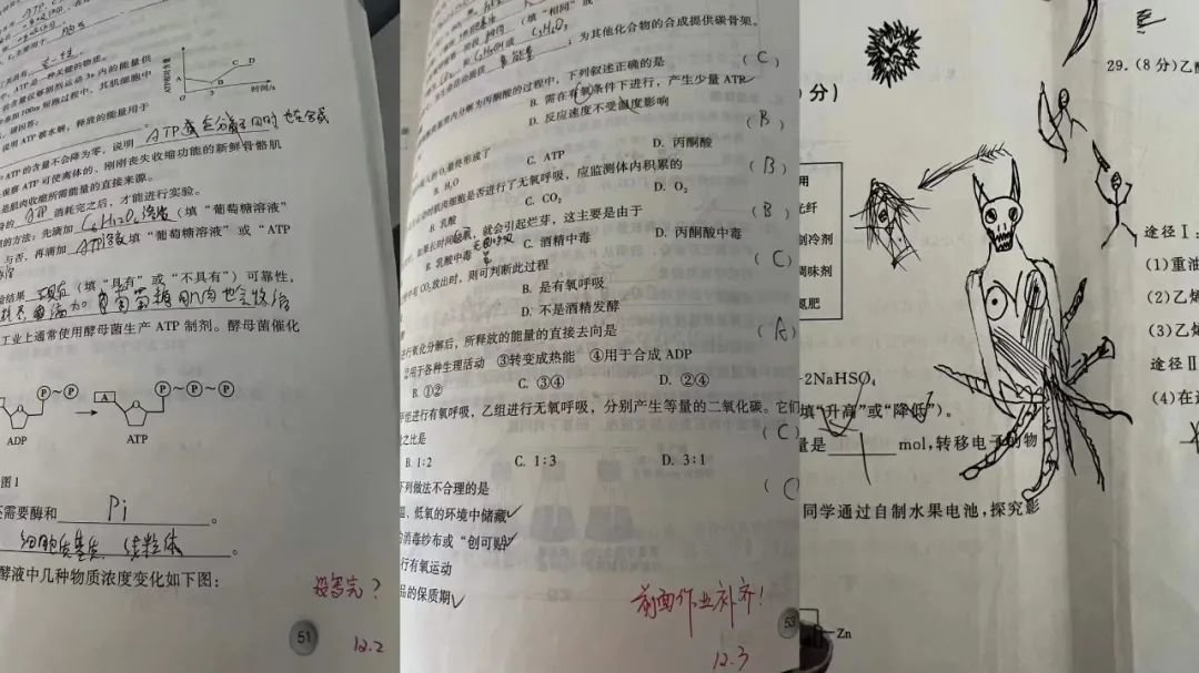 #北京警方通报一起校内学生伤人案#  【恶魔涂鸦😈】“从张某所有的试卷和作业本