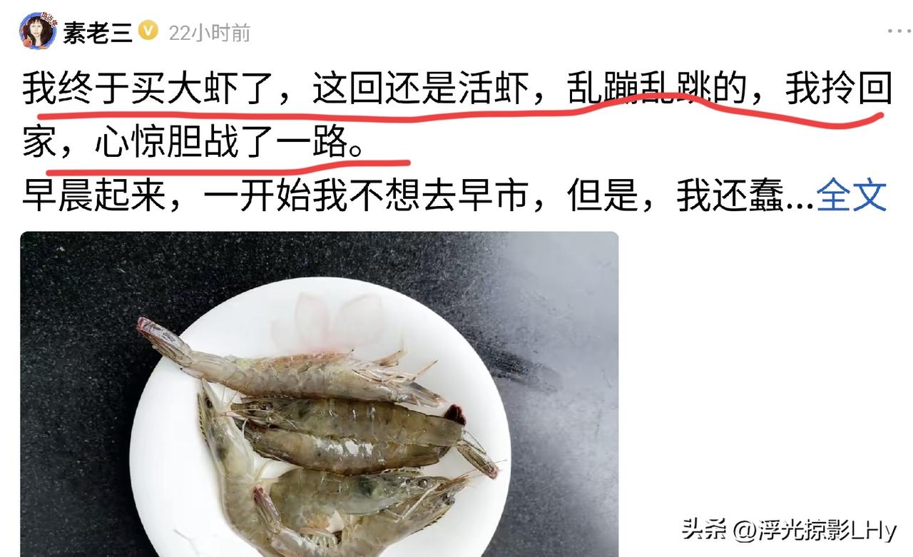 从没见过这么大的虾，既然吓到头条顶尖级作家素老三了。文章提着素老三了，希望阅读能