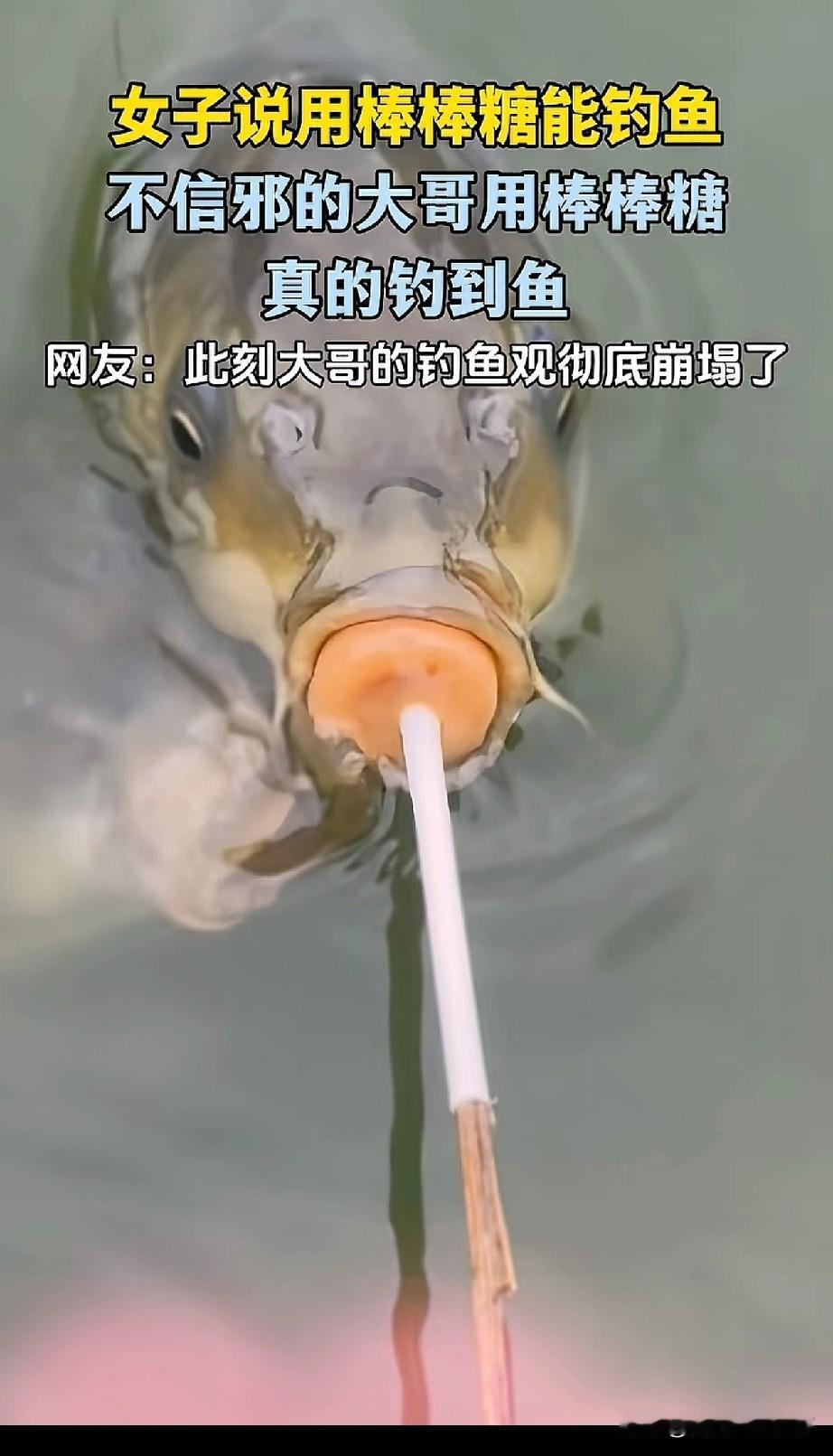 什么钓鱼邪修火遍了大江南北？

到底是是什么邪修方法让一直空军的大哥，感受到了钓