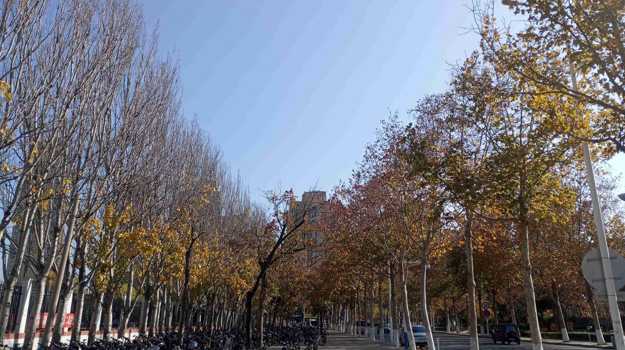 我的今日状态：🤧小感冒
我这里的天气：💨大风
青岛的风也太太太厉害了，刮的人