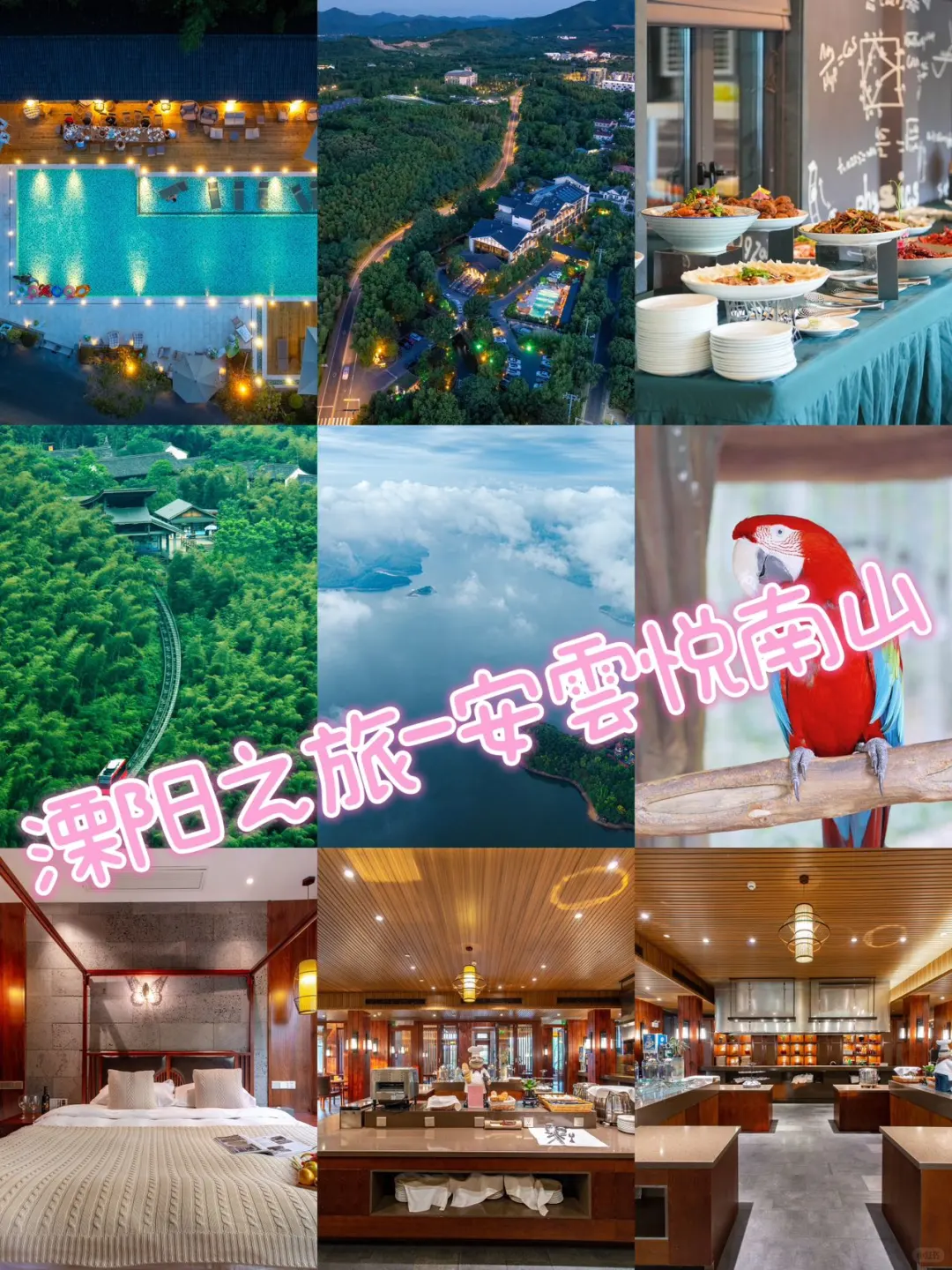 🎈初抵溧阳，南山竹海的郁郁葱葱瞬间吸引了我。在这片绿色氧吧里，邂逅了...