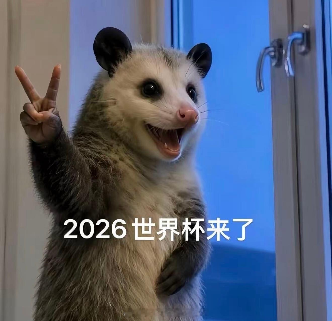 🫪⚽️世界杯小组赛预测 1️⃣本来想一口气出完小组赛的，结果一看赛程两眼一黑还