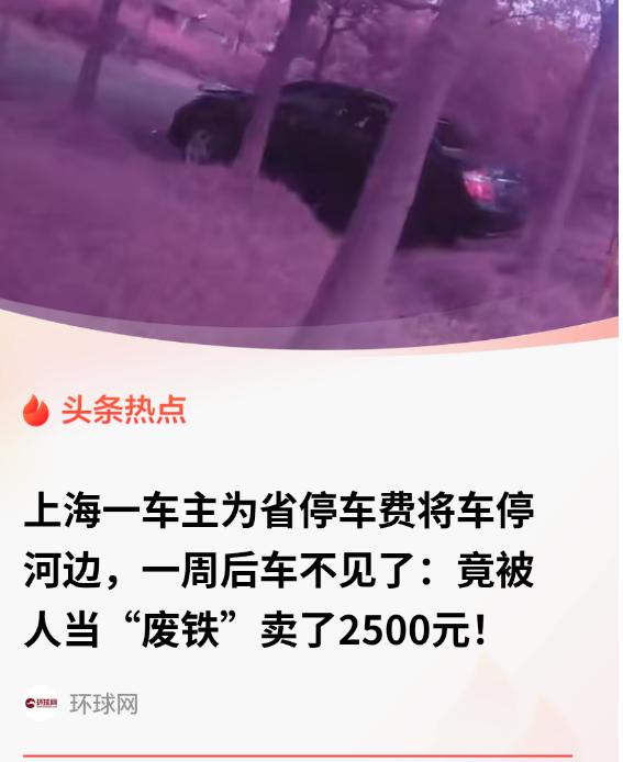 “贪小便宜吃大亏！”上海，一男子为了省停车费，把车停在偏僻的河边草坪上，一停就是