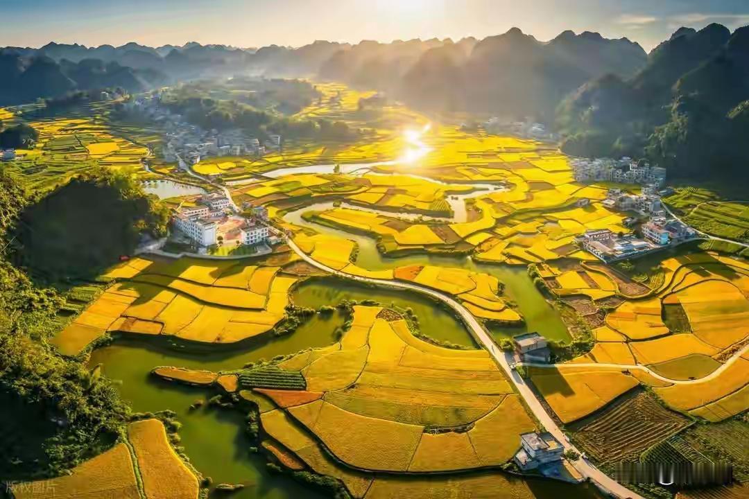 粮食二十二连丰是“统计造假”？别被疑问带偏，这背后是实打实的体系硬实力！
 
2