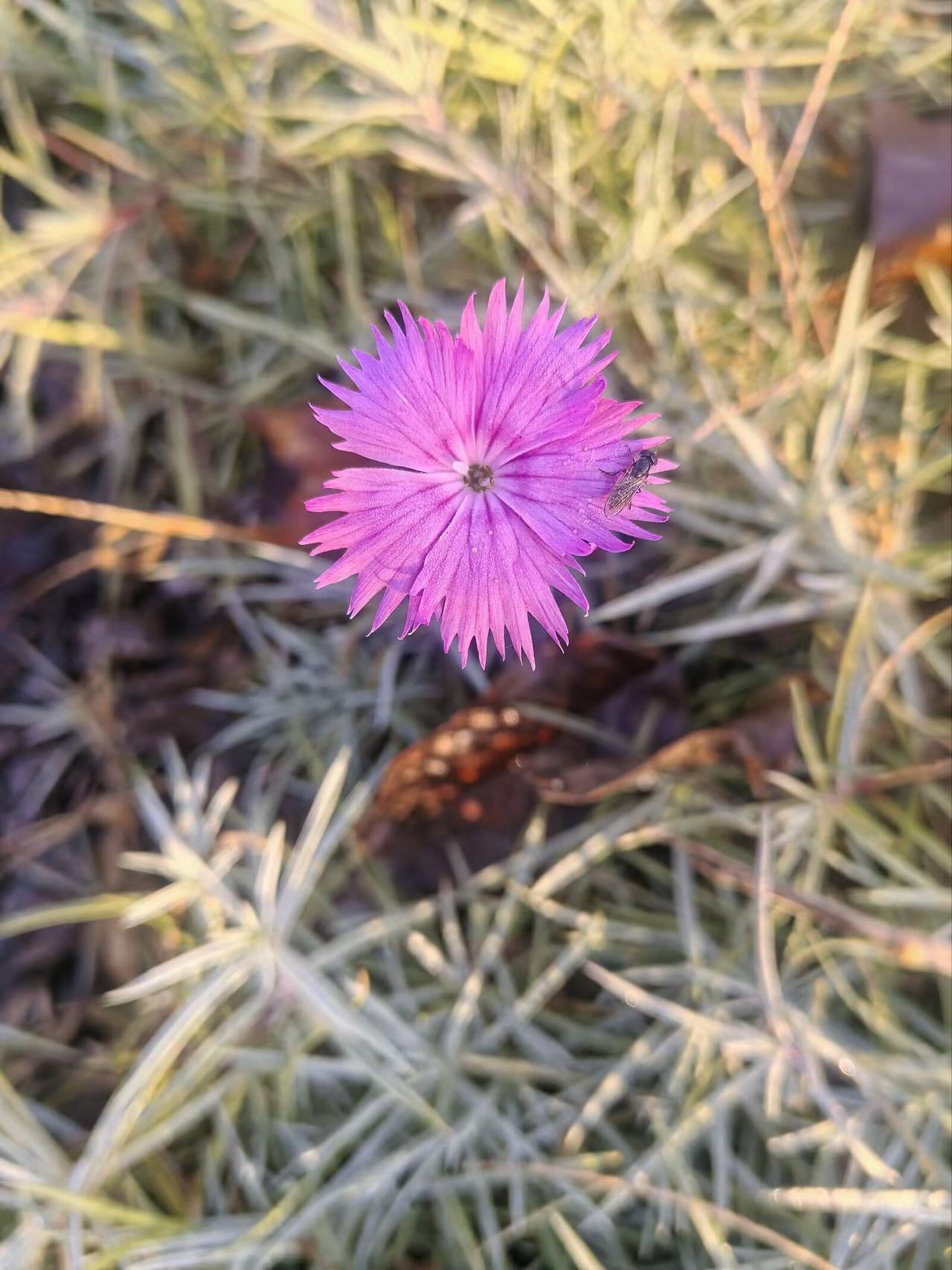 春华秋实，适合的年龄做适当的事，男女孩子到年龄就应该谈婚论嫁，错过年纪，追悔莫及