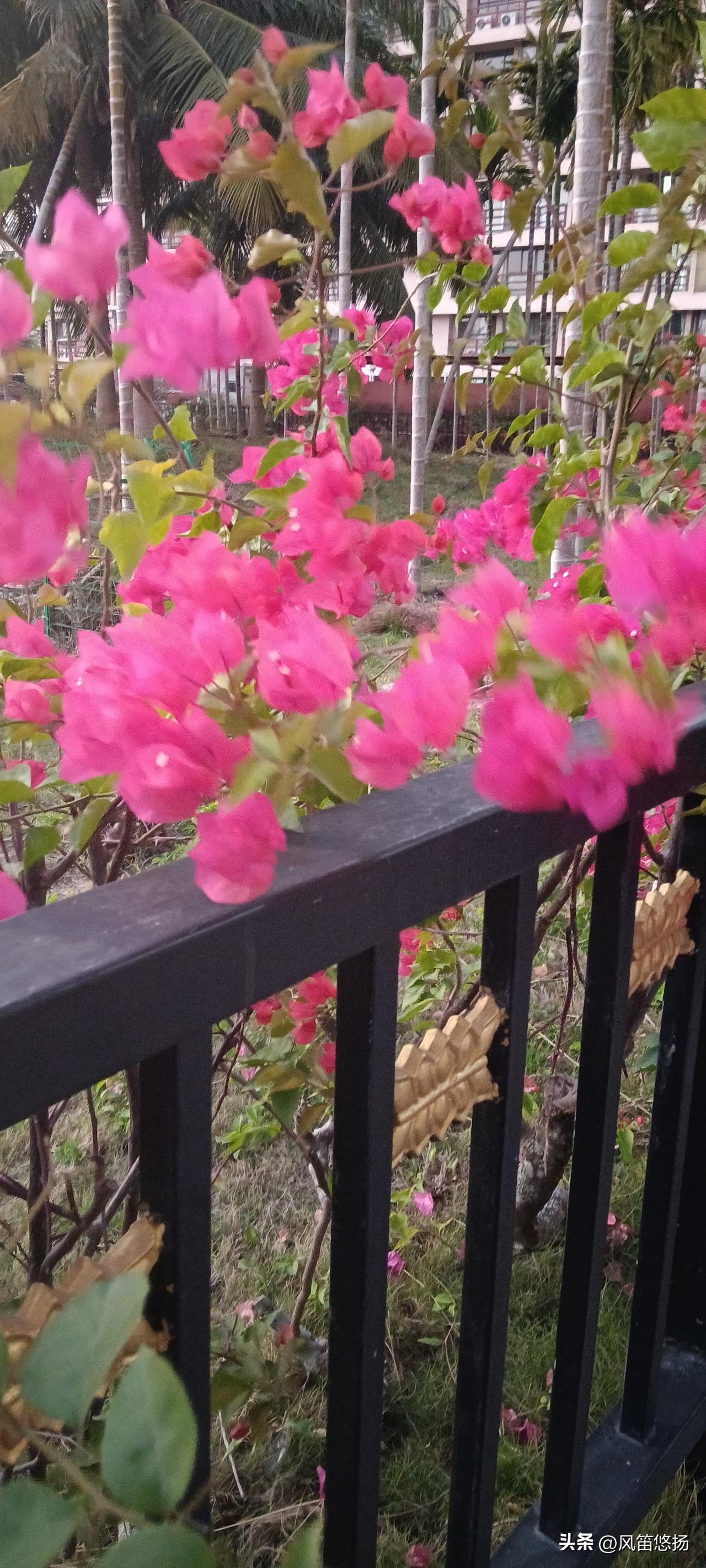 首先，没有美国，北约就是羊🐏和兔子🐰，连纸老虎都不如。
其次，没有美国，北约