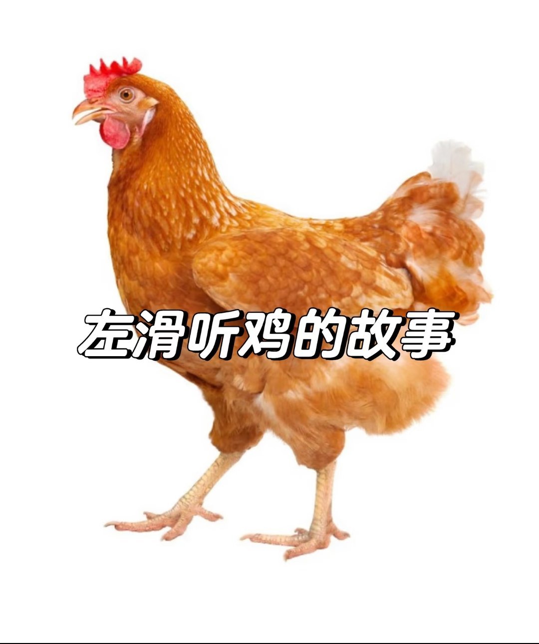 曝杨幂金鹰奖掉提掉提是另有其人，886咯咯咯 