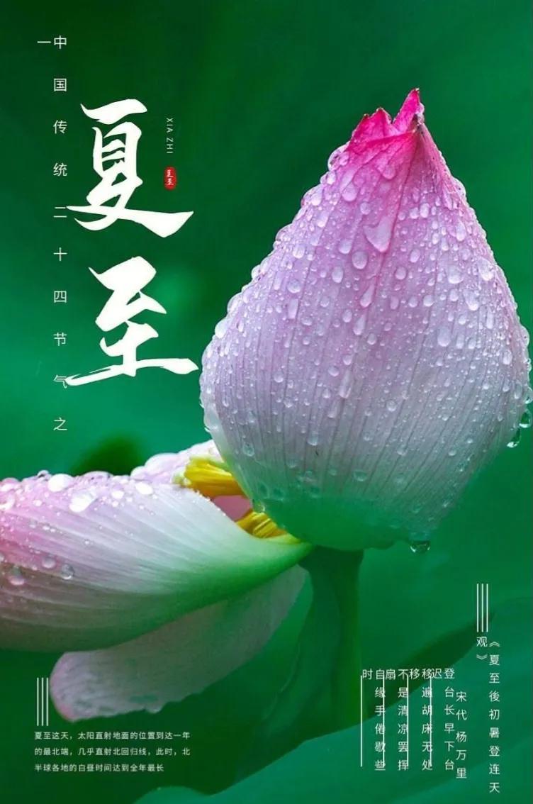 今日夏至！夏至的准确时间是：下午 4 点 24 分 12 秒。俗话说："上午夏至