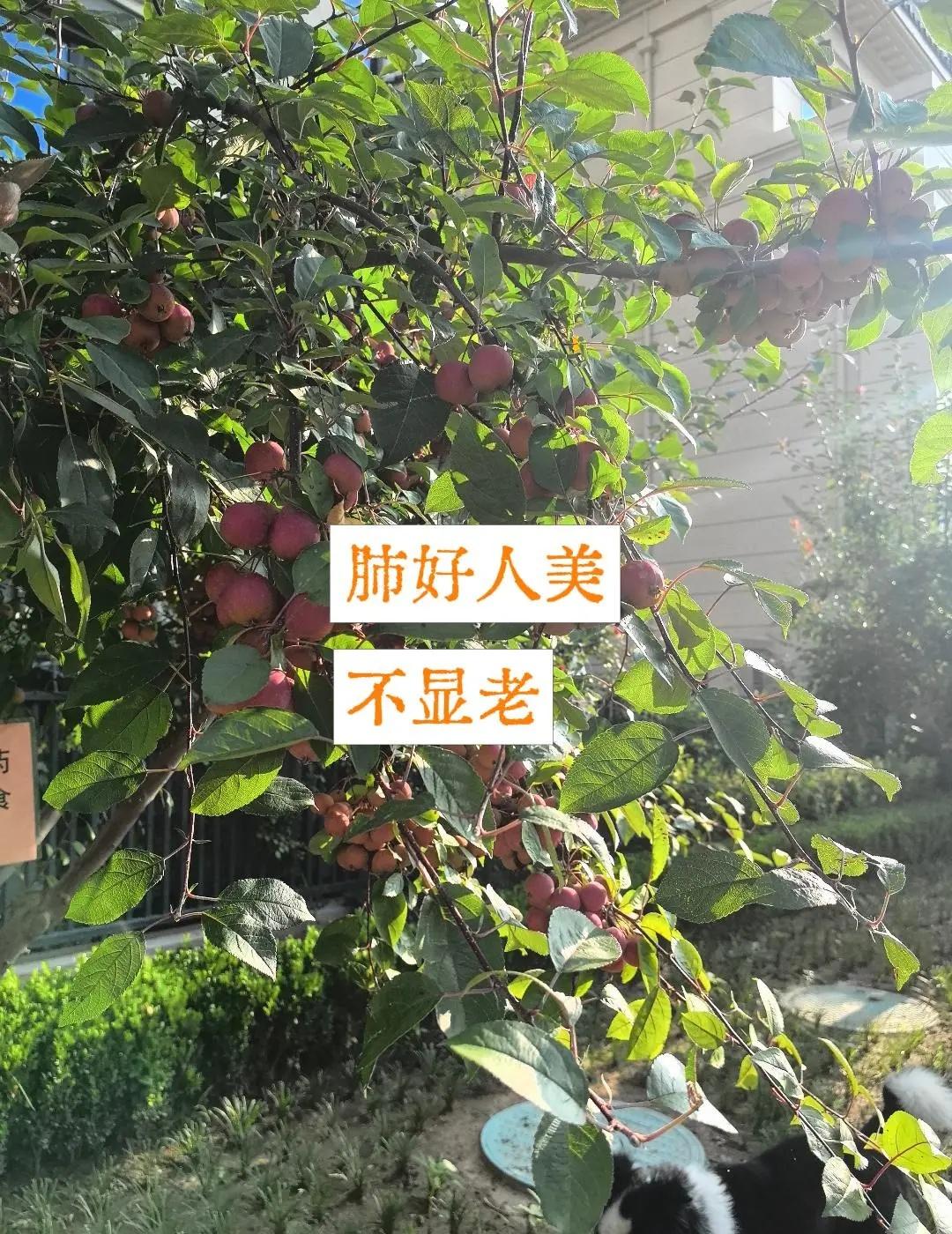绝境封神！孙颖莎上演史诗级大逆转 026伦敦世乒赛女团赛场，国乒对阵韩国2026