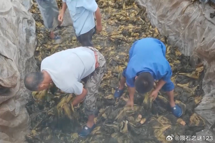 老坛酸菜 脚踩是不是行业内有什么不便泄露的秘密？脚踩酸菜，脚汗、脚后跟的泥垢，与