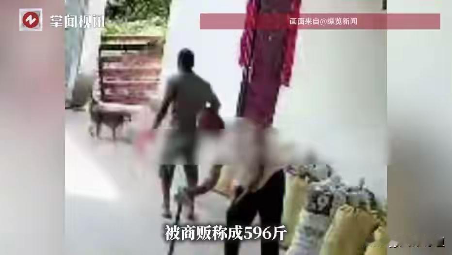 商贩骗聋哑老人，幸亏邻居周旋。
近日，四川有一个商贩在聋哑老人家
收菜籽，这个没