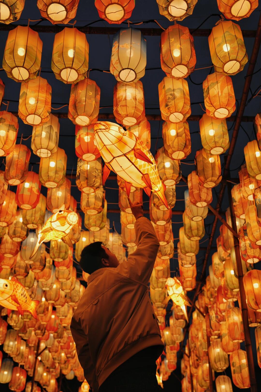 在温州📍错过这个灯会又要等一年喽～