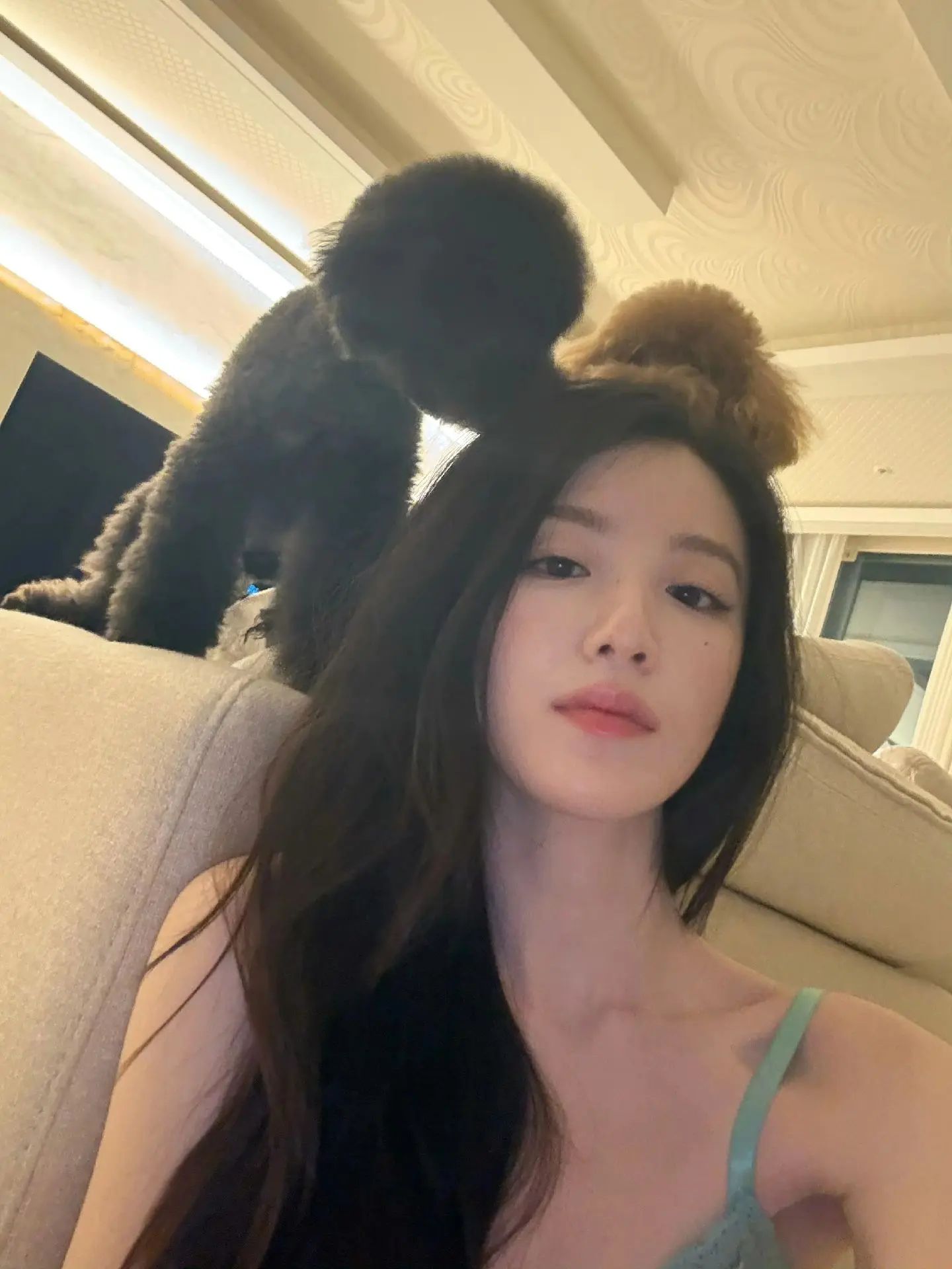 260705 5 舒华个人IG&狗狗IG共创、舒华个人小📚  내 가...