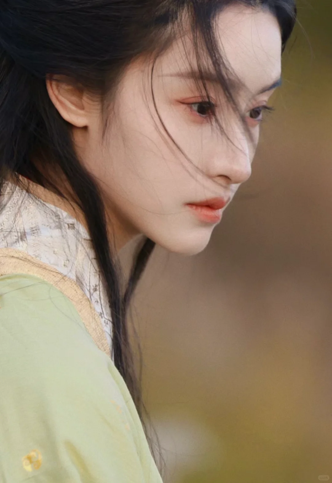 王普贤：南朝宋末代皇后表妹，成北魏皇妃