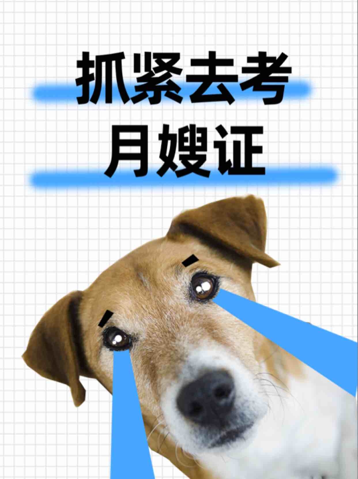 stg这个时候还想让莎打混双纯坏而已。你们的当务之急是去考个月嫂证。 ​​​