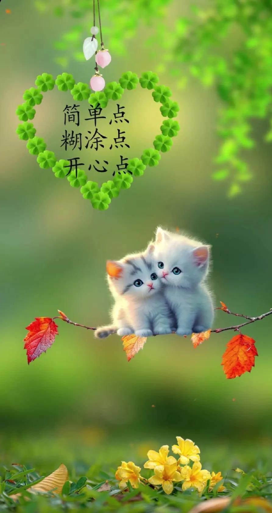 “萌宠治愈系，简单快乐每一天”🐱💛🌸万物可爱计化