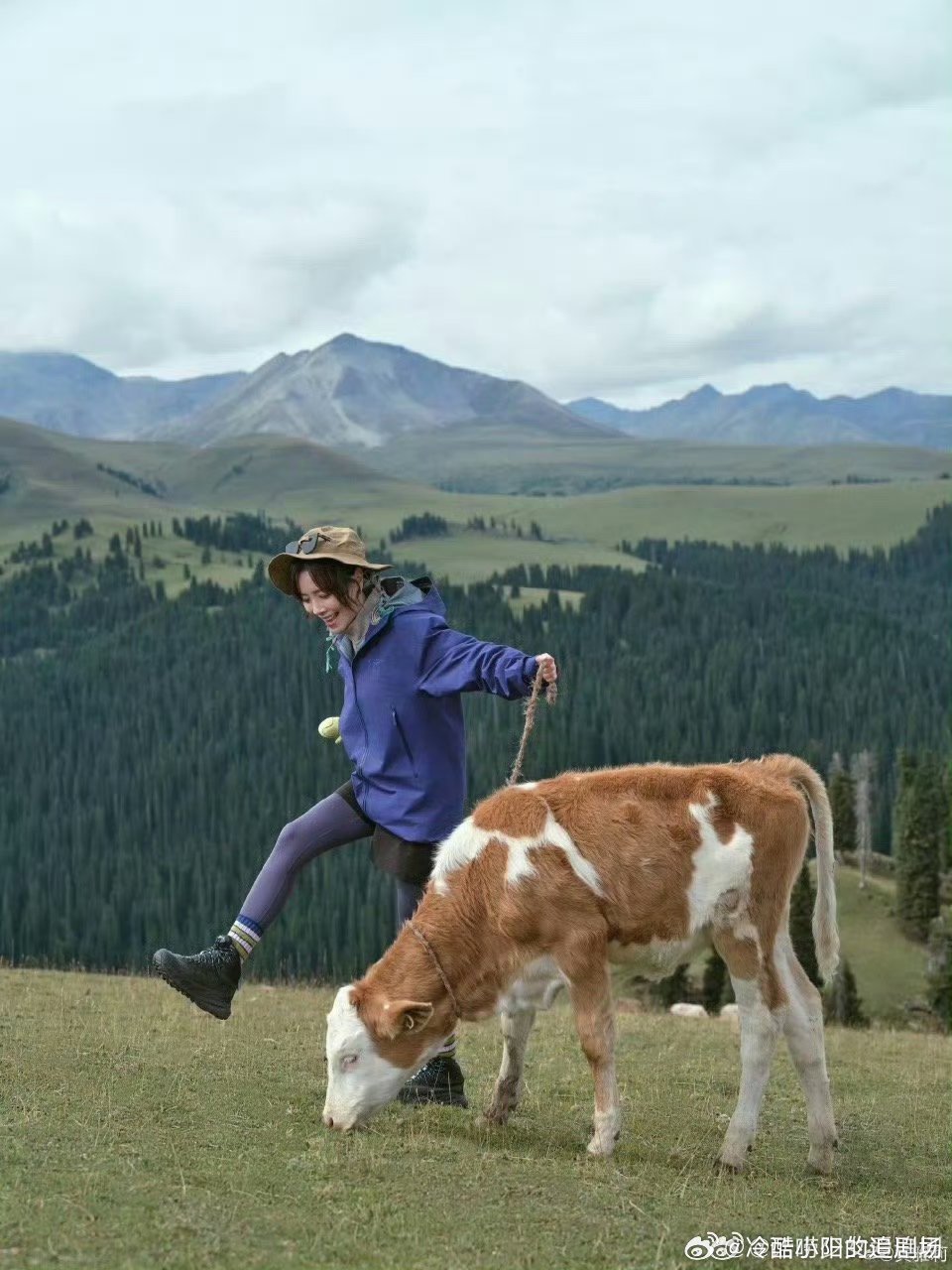 黄雅莉唤醒了我的旅行DNA 她的歌里交织着玉龙雪山辉光与溪流声，一听见就像重回自