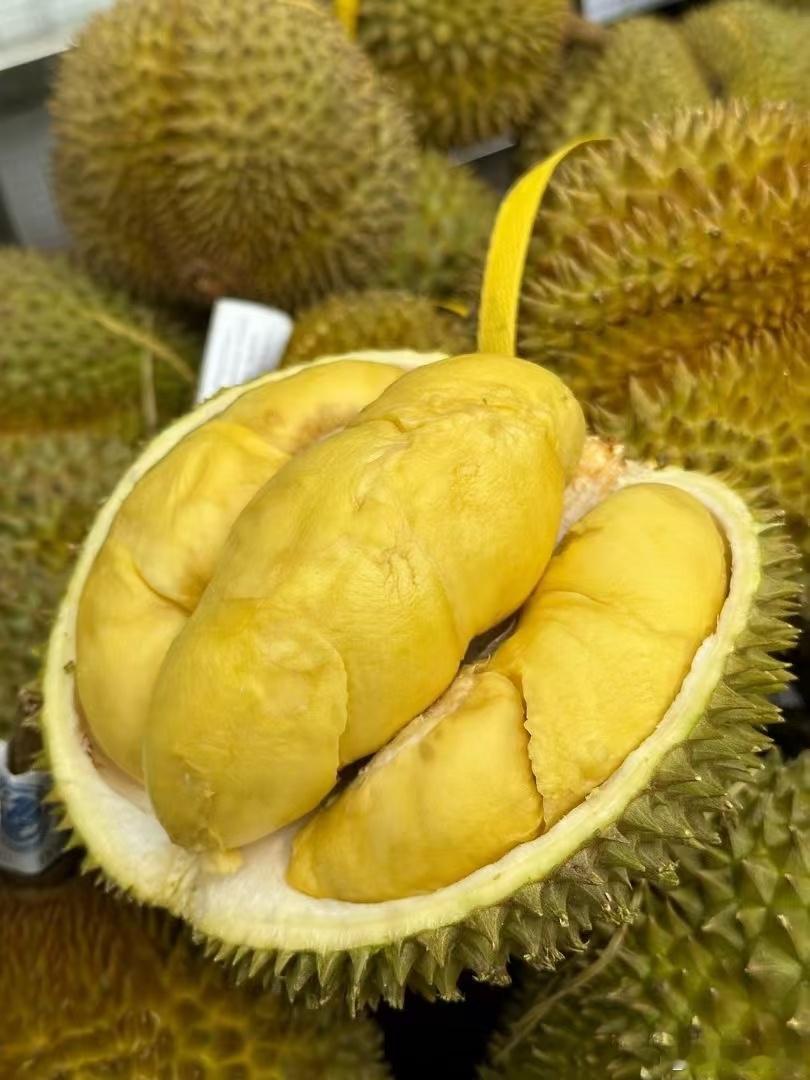 男子1万买榴莲付11万几个月才发现这也说明了一个问题，人家也确实有钱，要是我呀，
